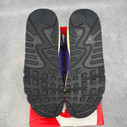 Nike Air Max 90 Grape *pre-owned* SIZE 8.5