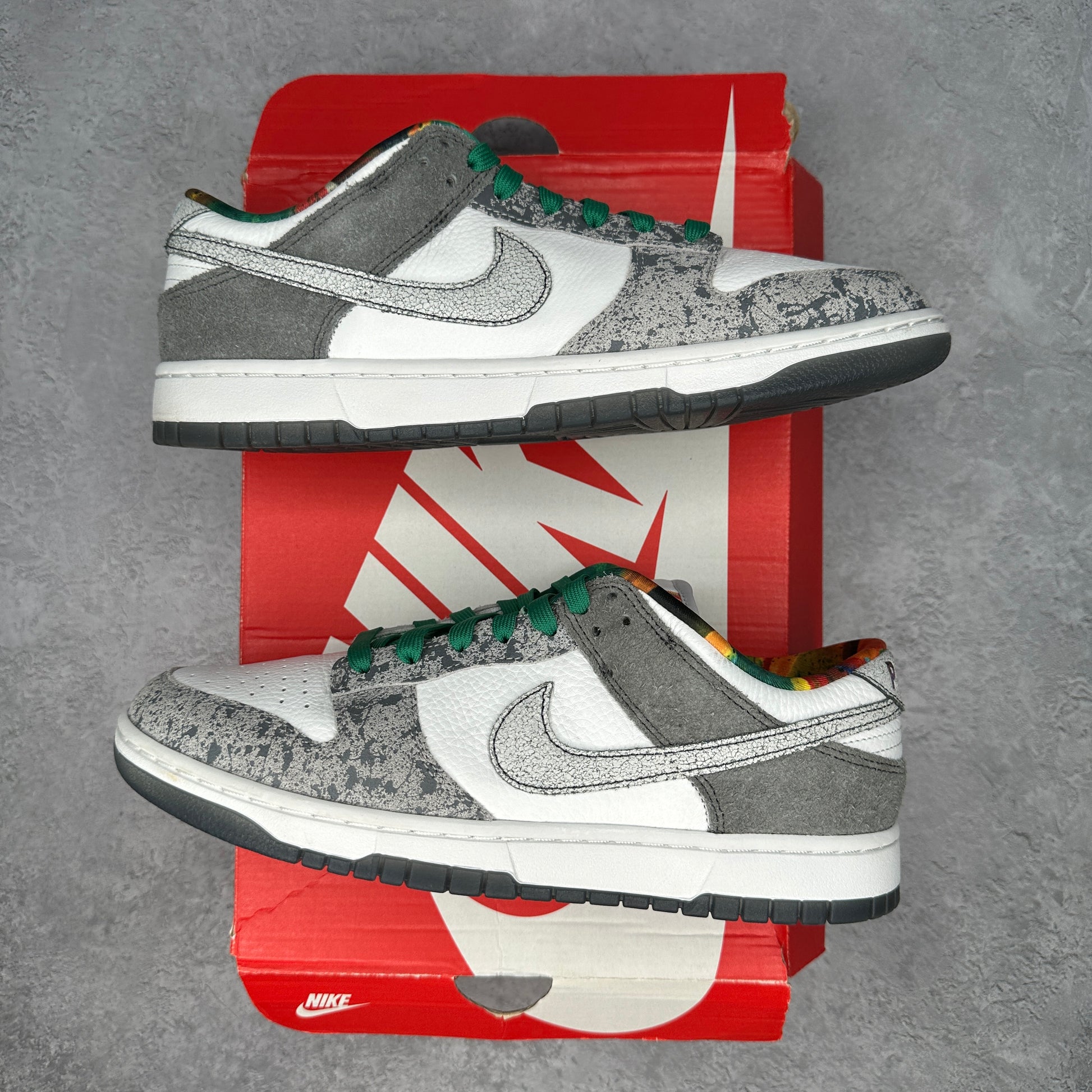 Nike Dunk Low Retro Premium Philly