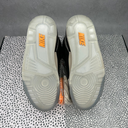 Jordan 3 Retro & Nike Air Max 1 atmos Pack *MISSING AIR MAX'S*