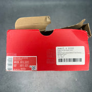 Nike Dunk Low Michigan State pre-owned size 10.5
