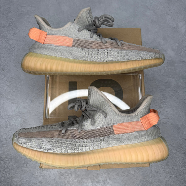 adidas Yeezy Boost 350 V2 True Form *pre-owned* SIZE 9.5
