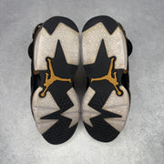Jordan 6 Retro DMP (2020) *pre-owned* SIZE 8