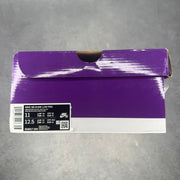 Nike SB Dunk Low atmos Elephant pre-owned size 11
