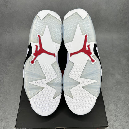 Jordan 6 Retro Carmine (2021)