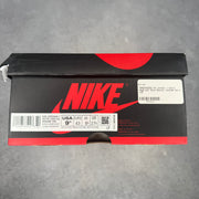 Jordan 1 Retro High Rookie of the Year pre-owned size 9.5