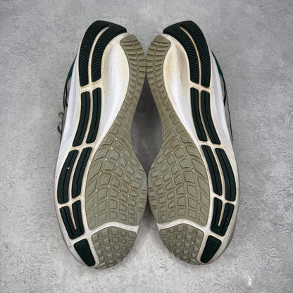 Nike Air Zoom Pegasus 38 Philadelphia Eagles *pre-owned* SIZE 11.5