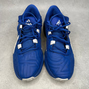 Nike Zoom Freak 5 TB Game Royal *pre - owned* SIZE 12 - Kicks Collective PA - Nike - DZ2946-400 - Men's Shoes - 12M/13.5W - Pre - Owned - No Box