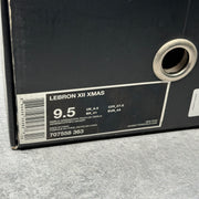 Nike LeBron 12 Akron Birch *pre-owned* SIZE 9.5