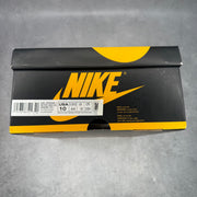 Jordan 1 Retro High Pollen *pre-owned* SIZE 10