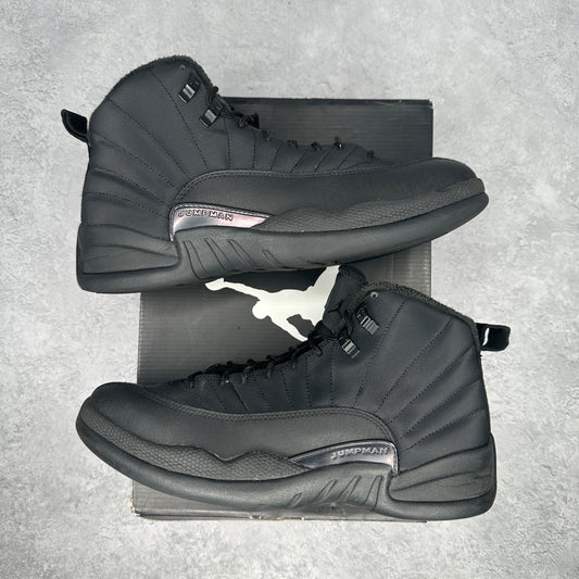Jordan 12 Retro Winter Black *pre-owned* SIZE 10