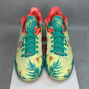 Nike LeBron 9 Low LeBronald Palmer (2022) 11.5 (Pre-Owned) - tag