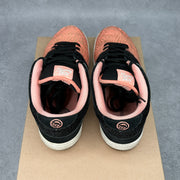 Nike SB Dunk Low Premier Fish Ladder *pre-owned* SIZE 9.5