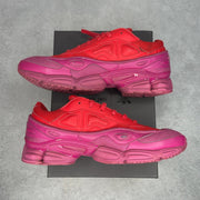 adidas Ozweego Raf Simons Glory Collegiate Red - Image 2