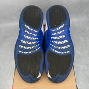 Jordan 12 Retro Blueberry *pre-owned* SIZE 11.5