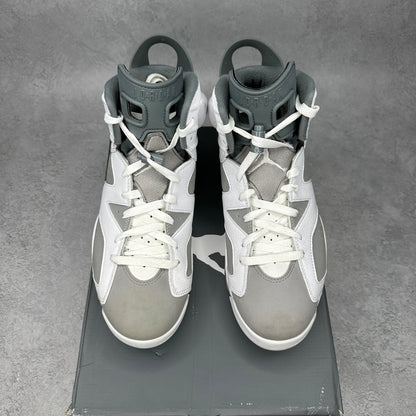 Jordan 6 Retro Cool Grey *pre-owned* SIZE 10.5