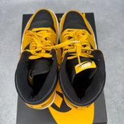 Jordan 1 Retro High Pollen *pre-owned* SIZE 10