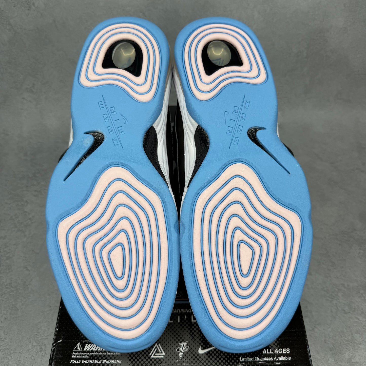 Nike Air Penny 2 Social Status Playground Black